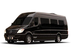 12 Passenger Sprinter Van