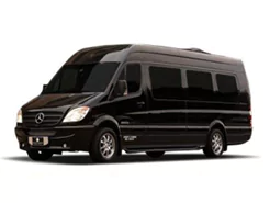 12 Passenger Sprinter Van Bus